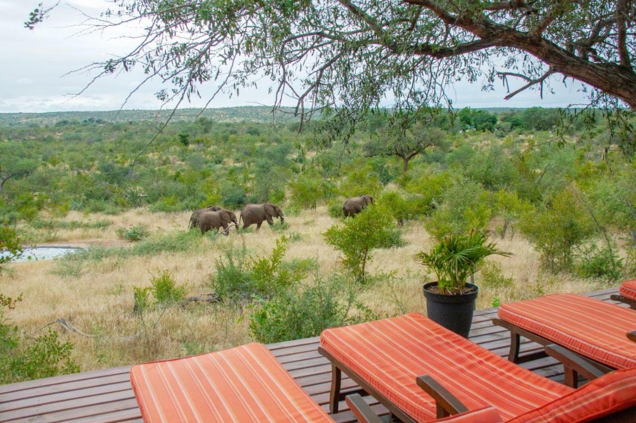 Casart Game Lodge Grietjie Game Reserve Luaran gambar