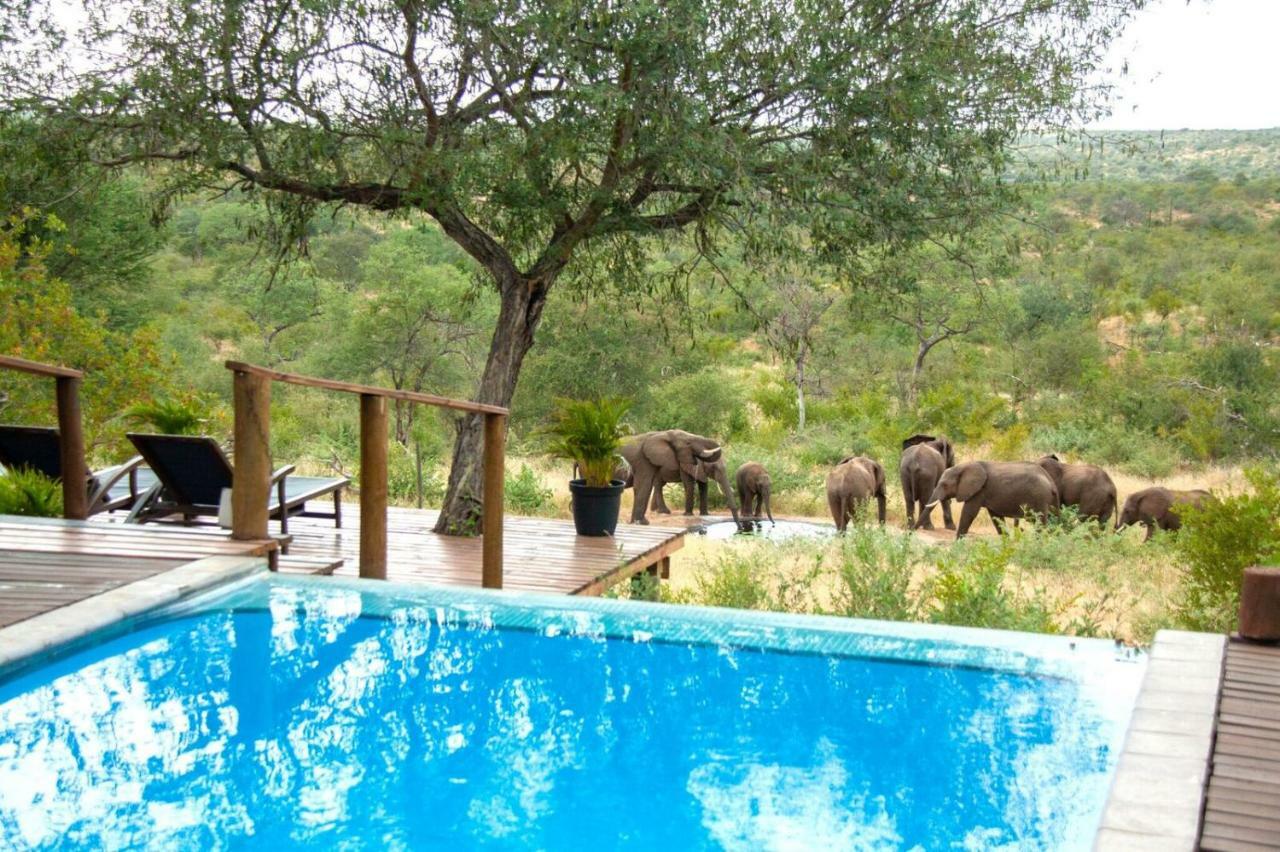 Casart Game Lodge Grietjie Game Reserve Luaran gambar